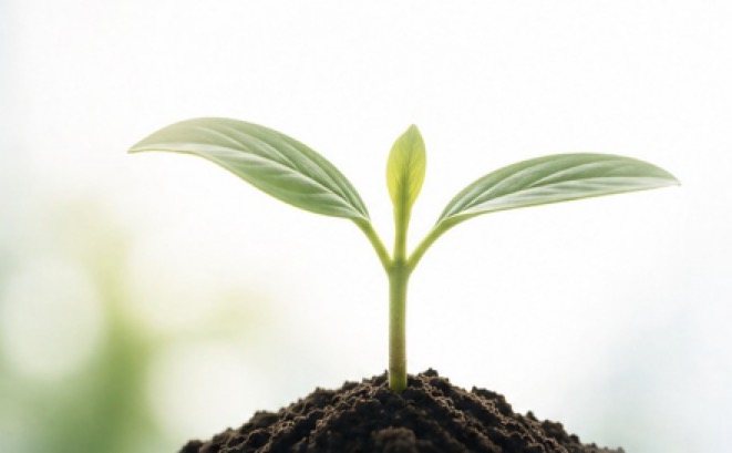 いぶき経営研究所